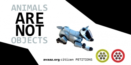 avaaz