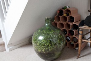 sealed-bottle-garden-david-latimer-3