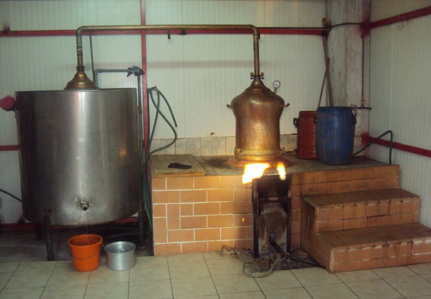 tsipouro-apostaxi01