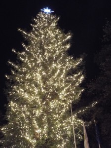 xristougenniatiko dentro (12)