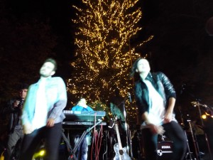 xristougenniatiko dentro (14)