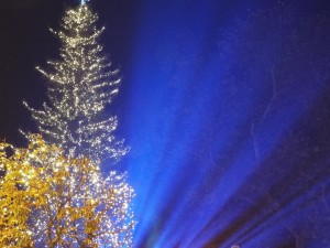 xristougenniatiko dentro (20)