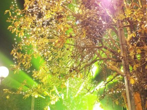 xristougenniatiko dentro (21)