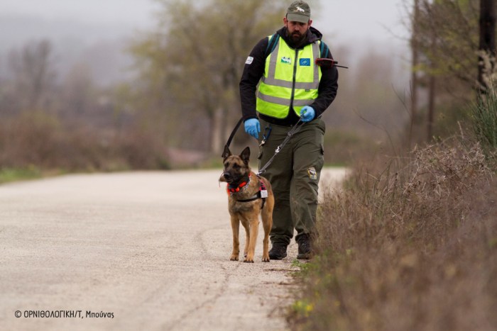 Ο Δημήτρης Βαβύλης με τον Κούκι, τον ειδικά εκπαιδευμένο σκύλο για την ανεύρεση δηλητηριασμένων δολωμάτων